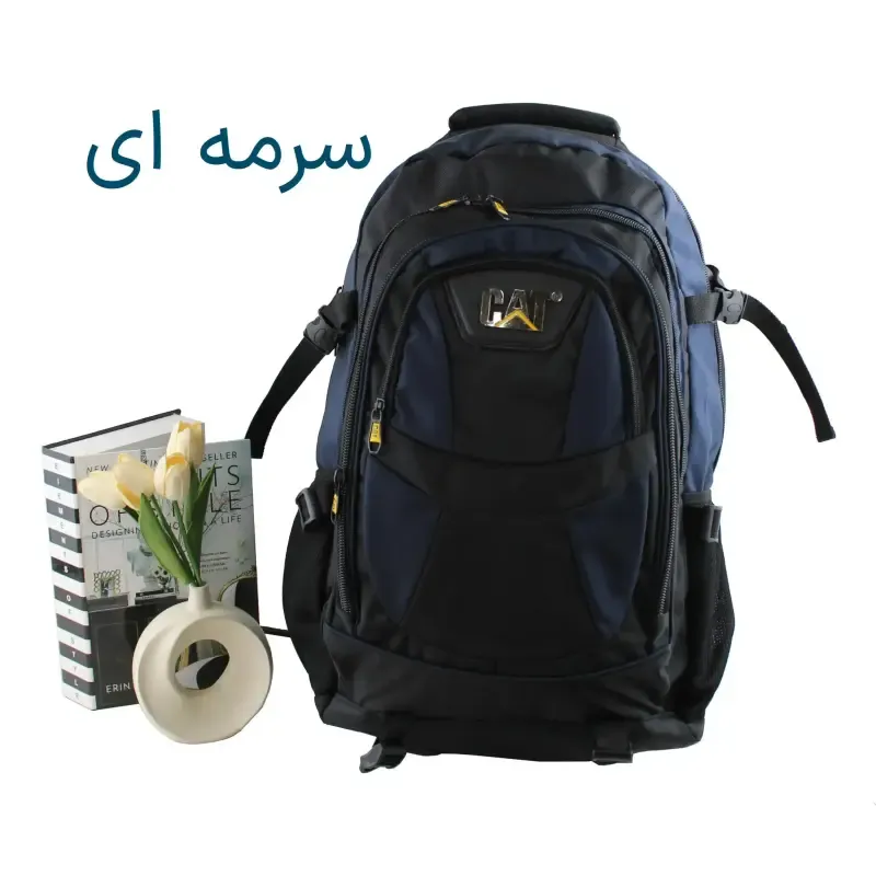 کوله پشتی پارچه ای مسافرتی و ورزشی دارای بند بلند و جیب متعدد ابعاد 55 در 30 در 25 سانتیمتر